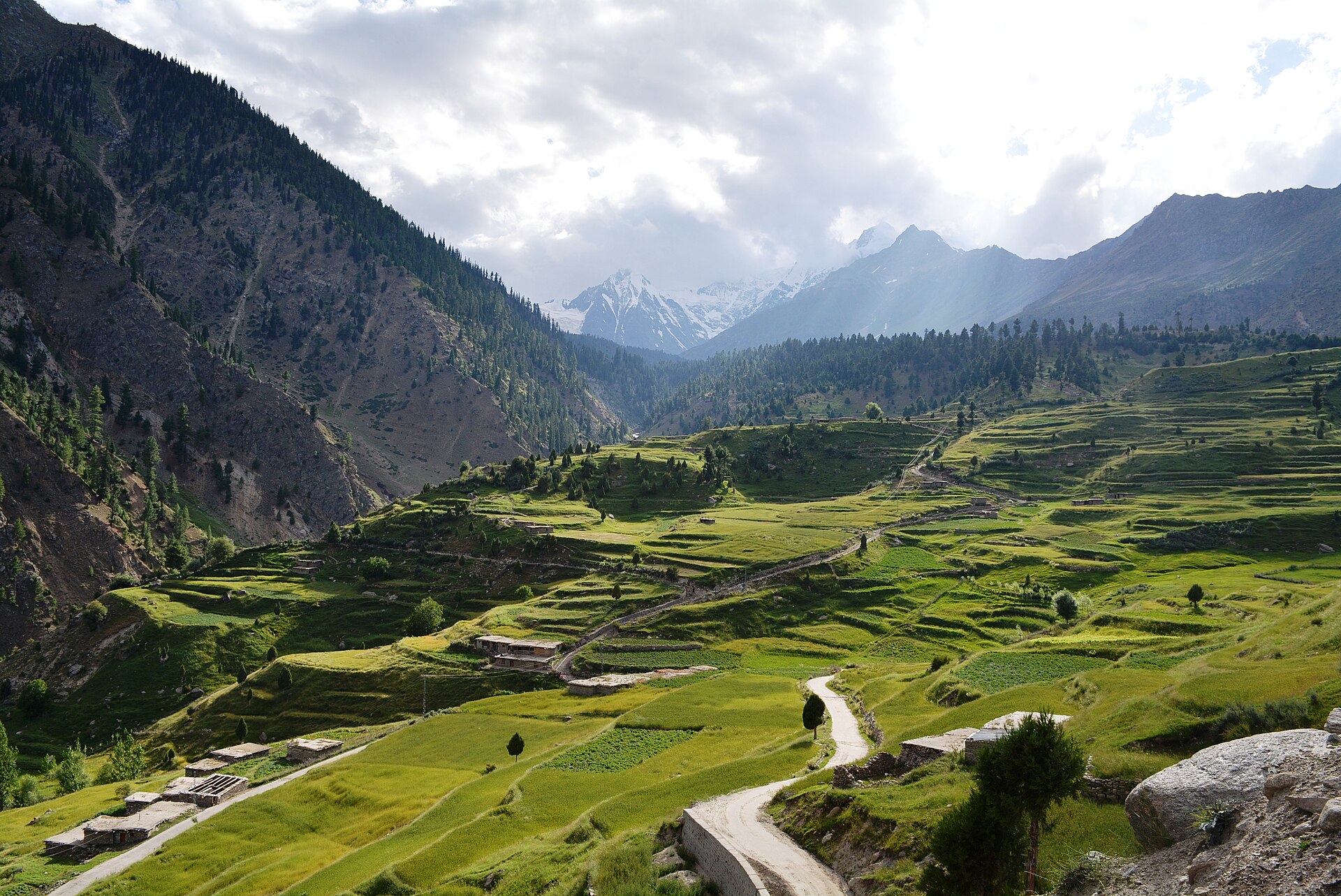Chilam and the Deosai edge