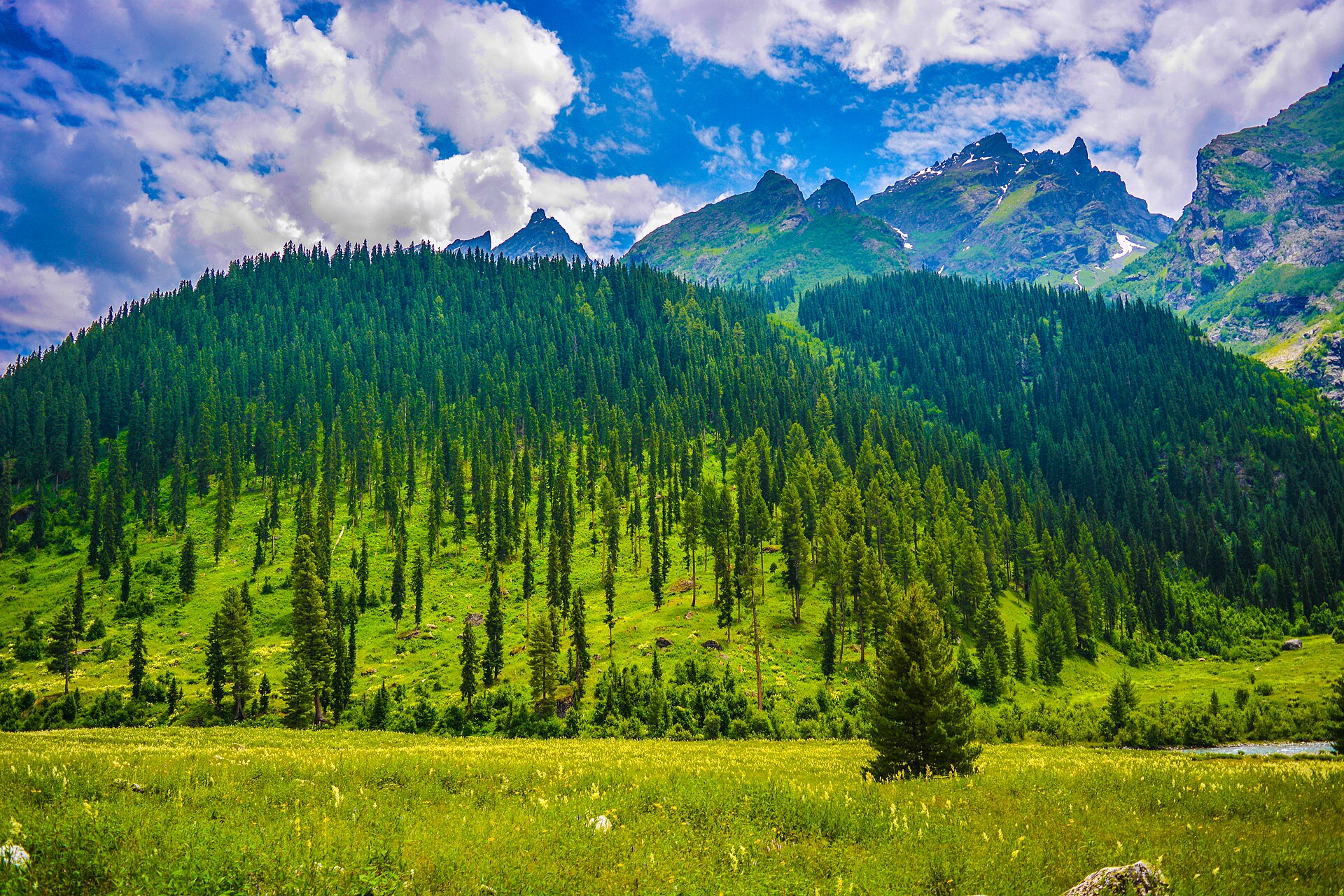 Minimarg & Domel