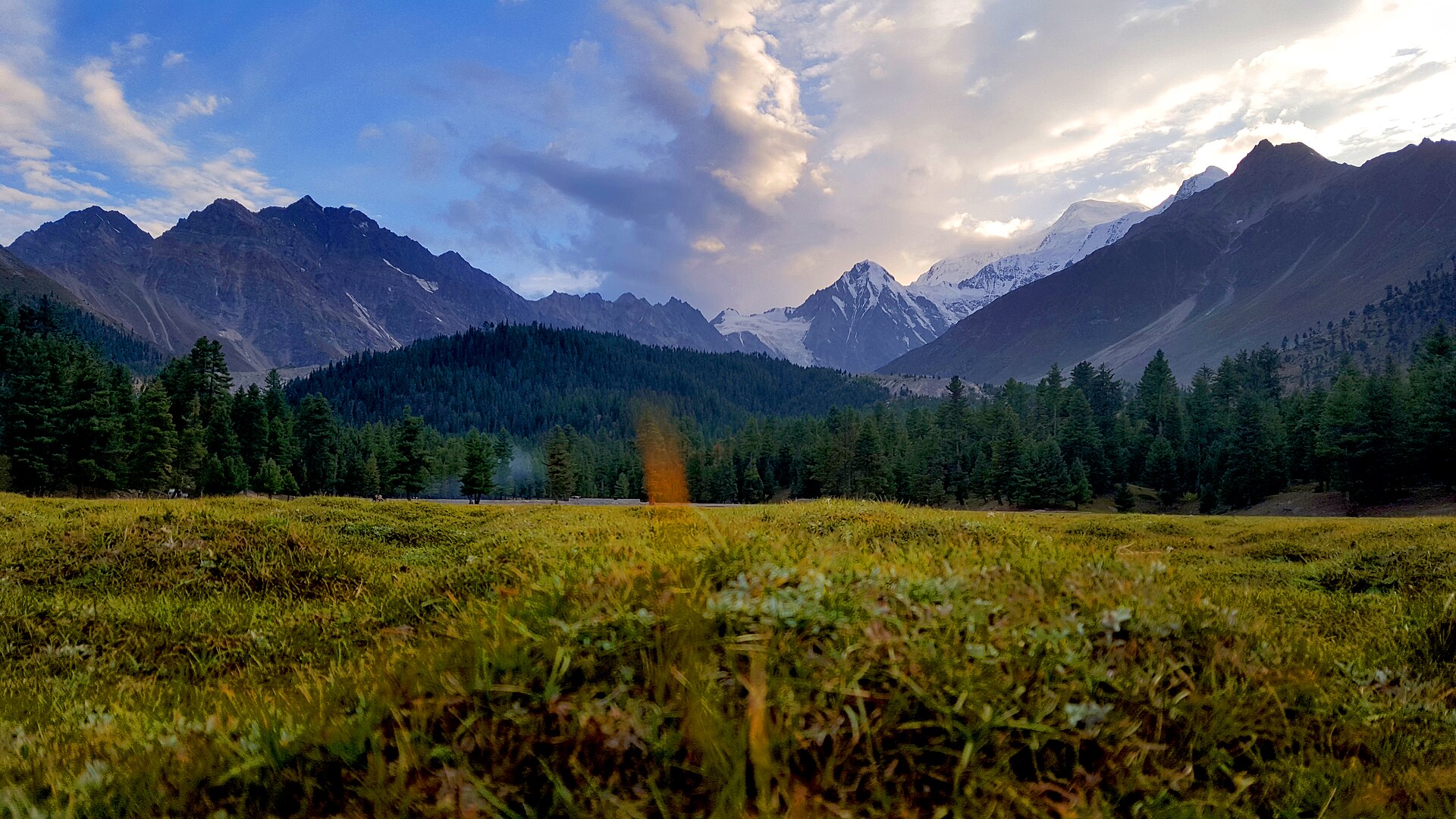 Rama Meadow