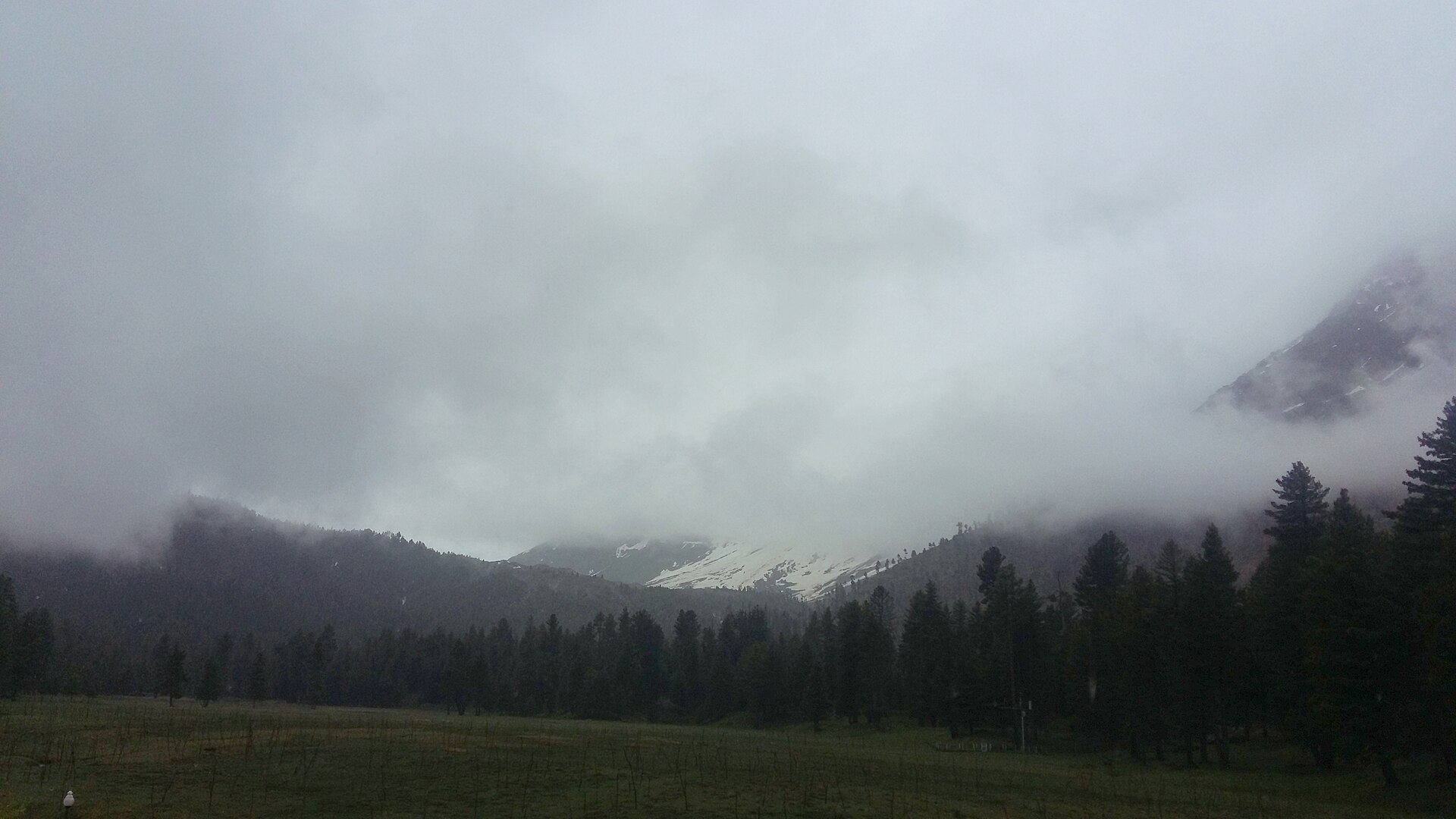 Rama Meadows