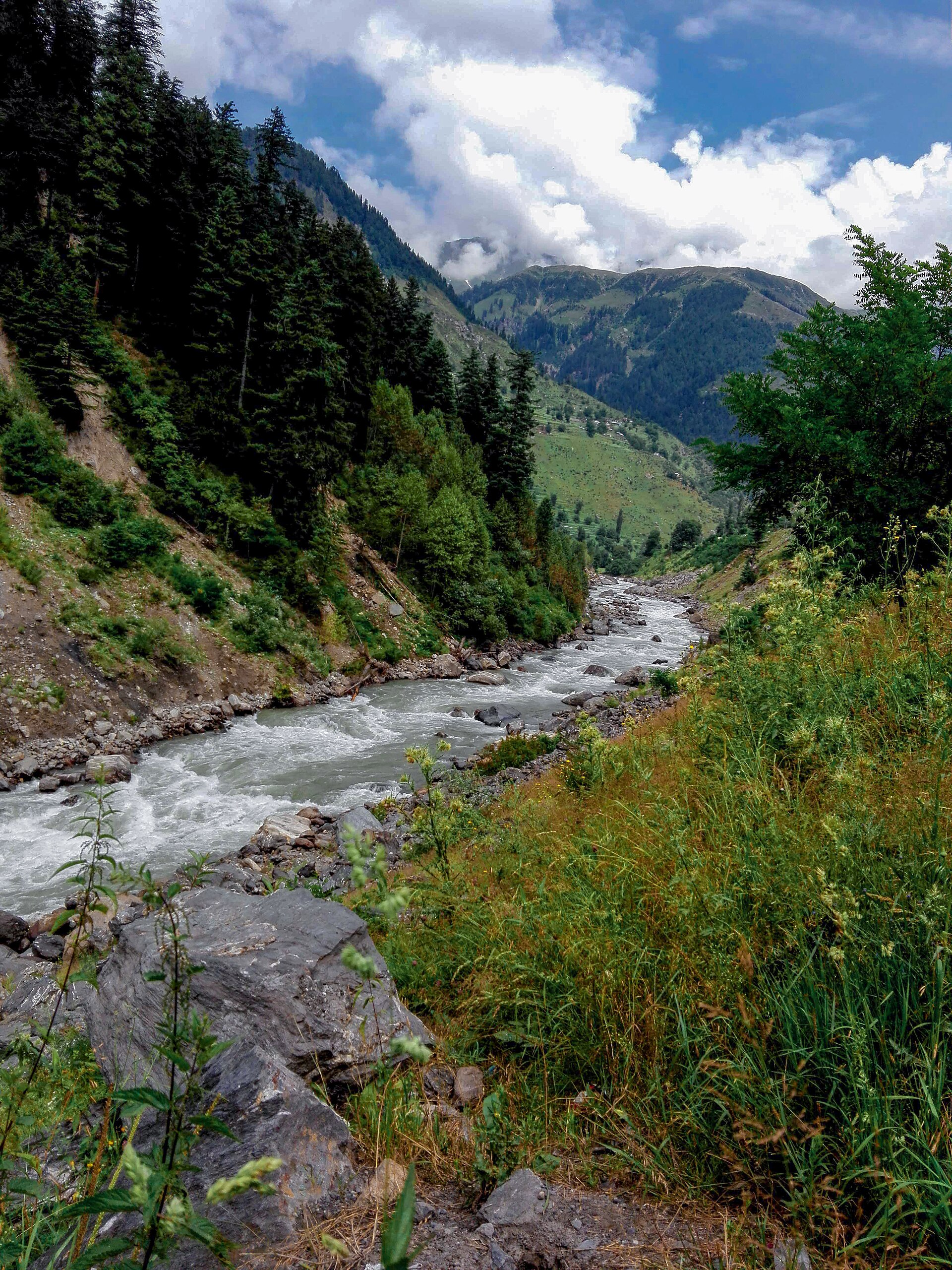 Trout fishing in the streams