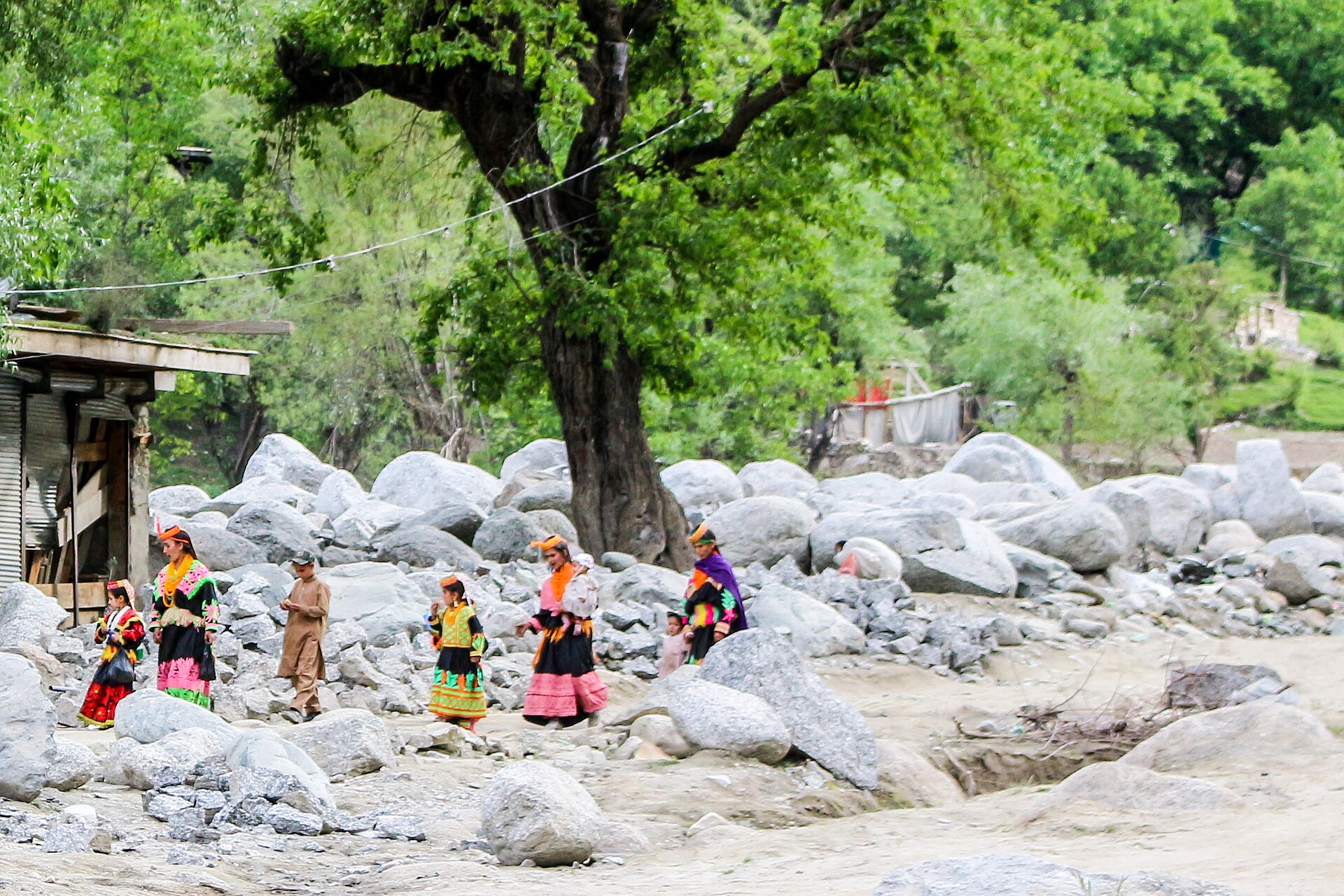 Attend a Kalash festival (Chilam Joshi)