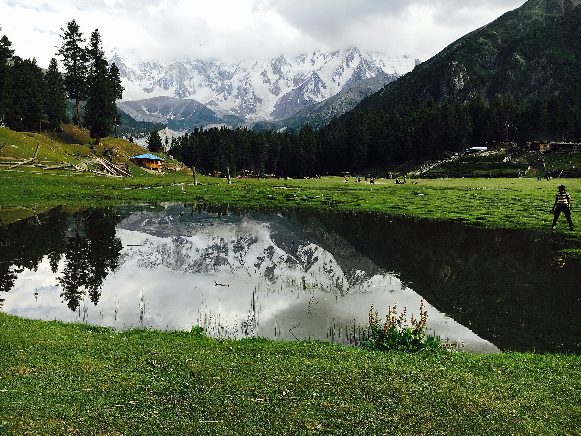 Fairy Meadows