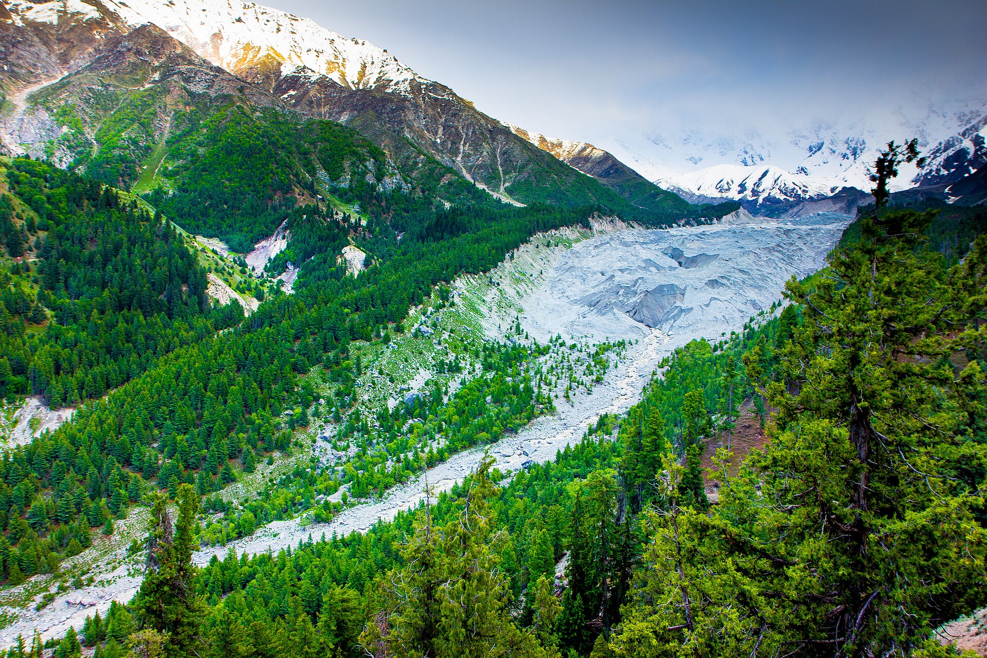Raikot Glacier
