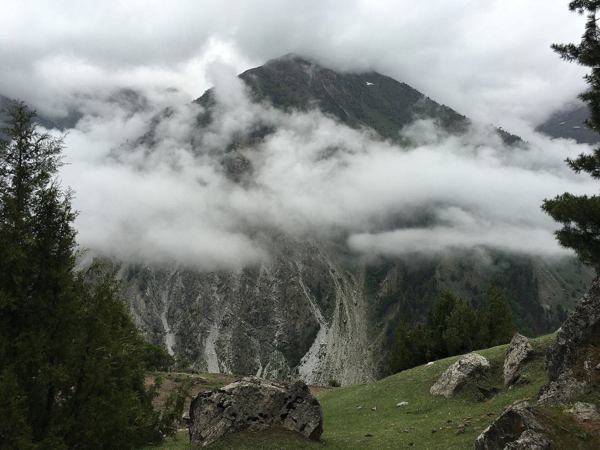 Fairy Meadows