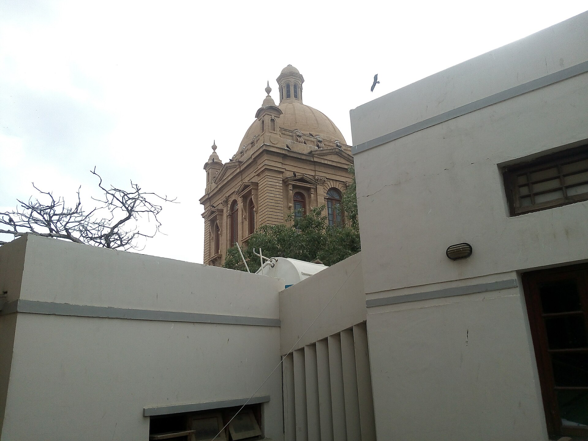 Food crawl on Burns Road