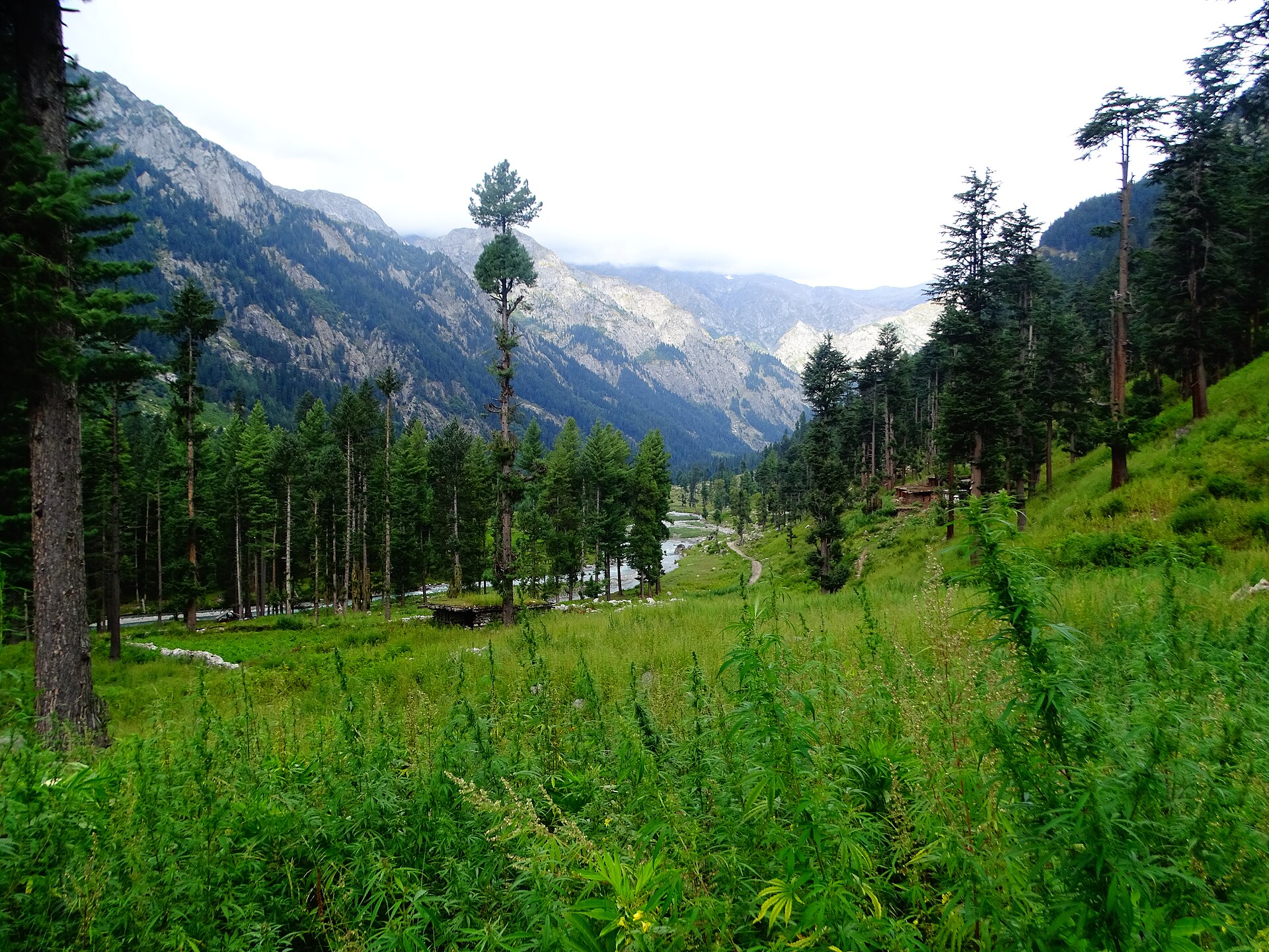 Kumrat Valley