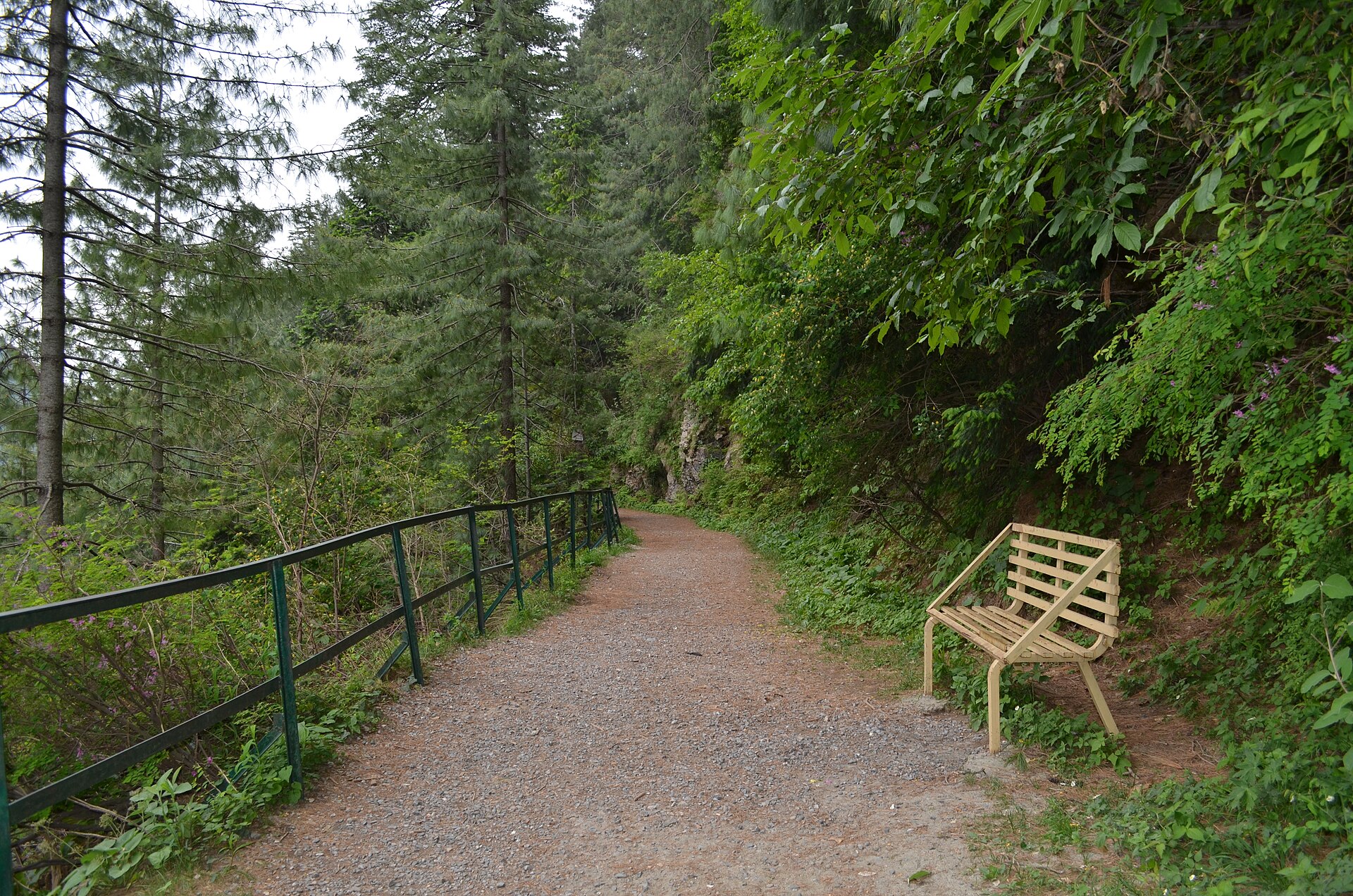 Dunga Gali, Pakistan