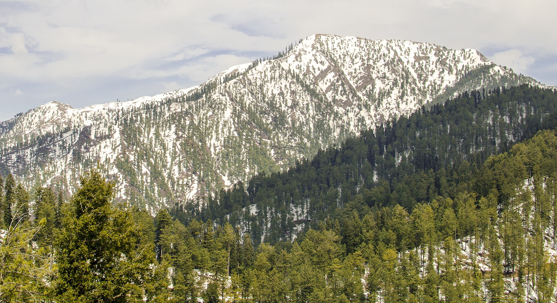 Murree