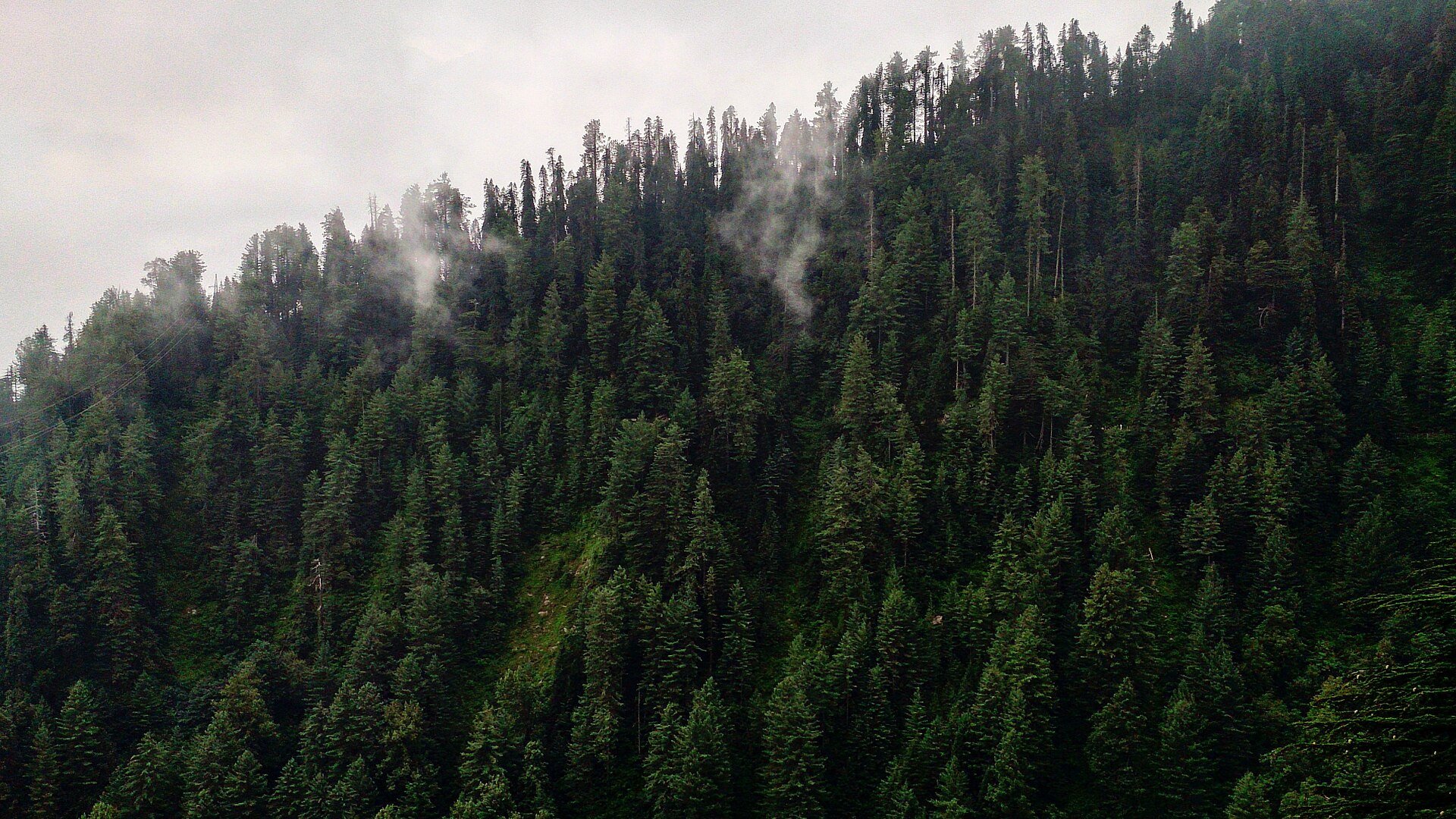 Murree