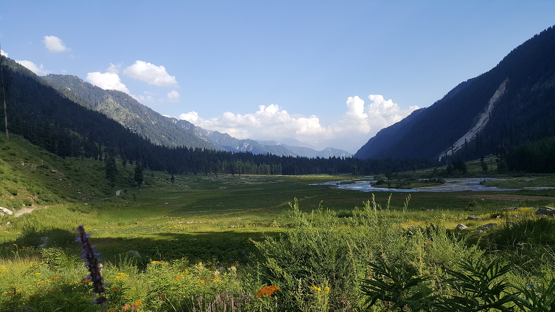 Naltar Valley