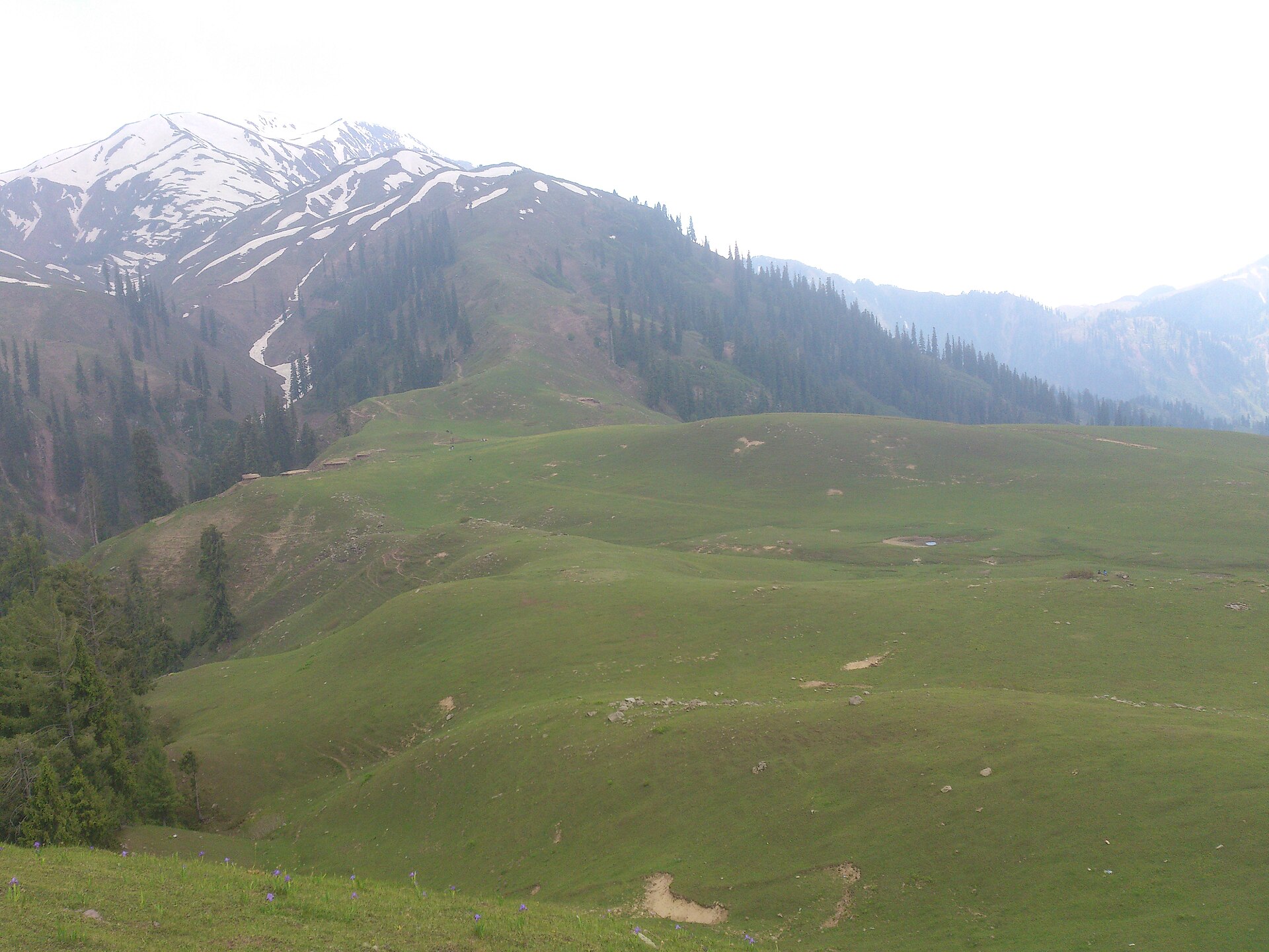 Siri Paye Meadows