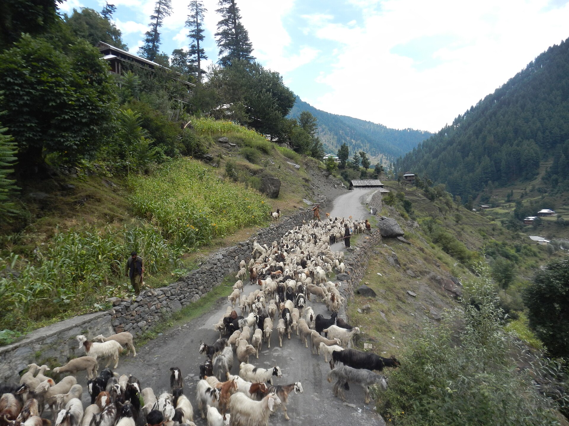Neelum Valley