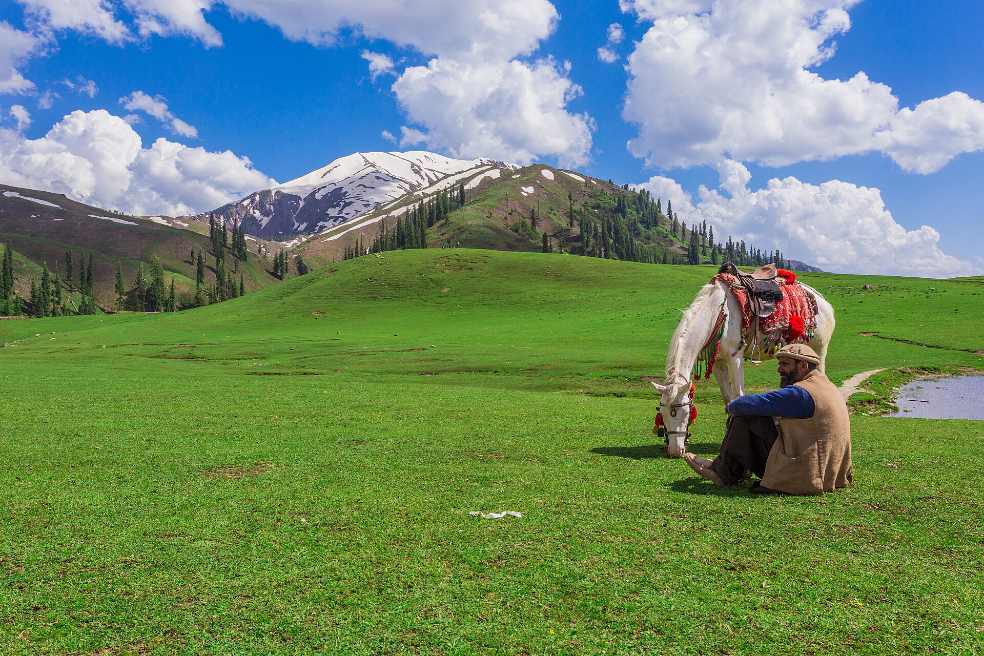Shogran