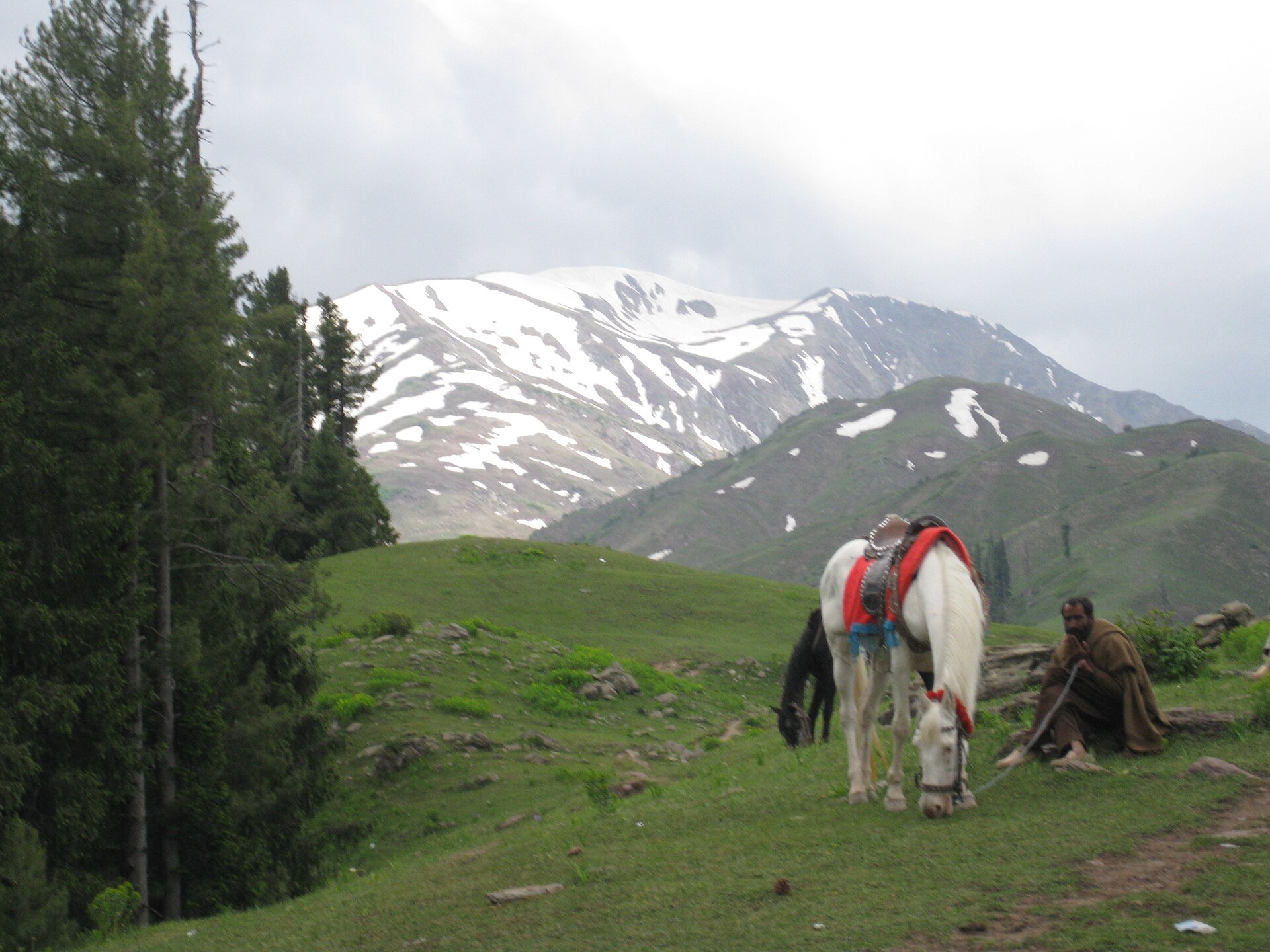 Shogran