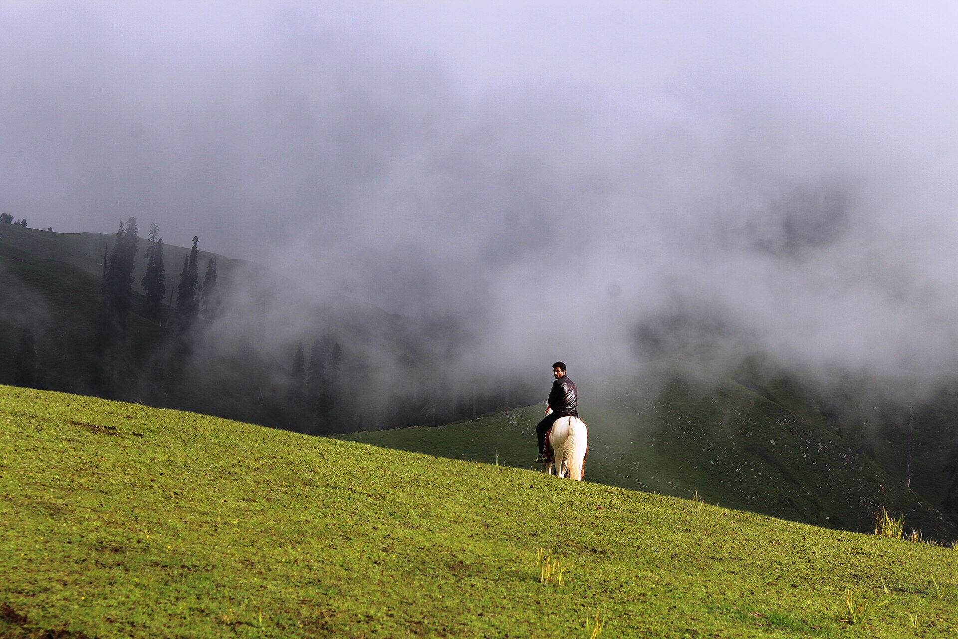 Shogran