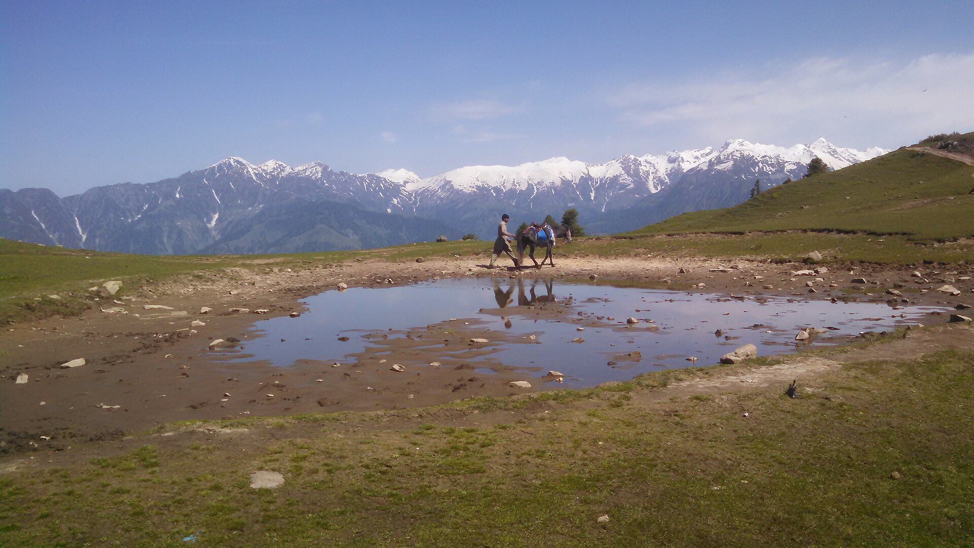 Shogran