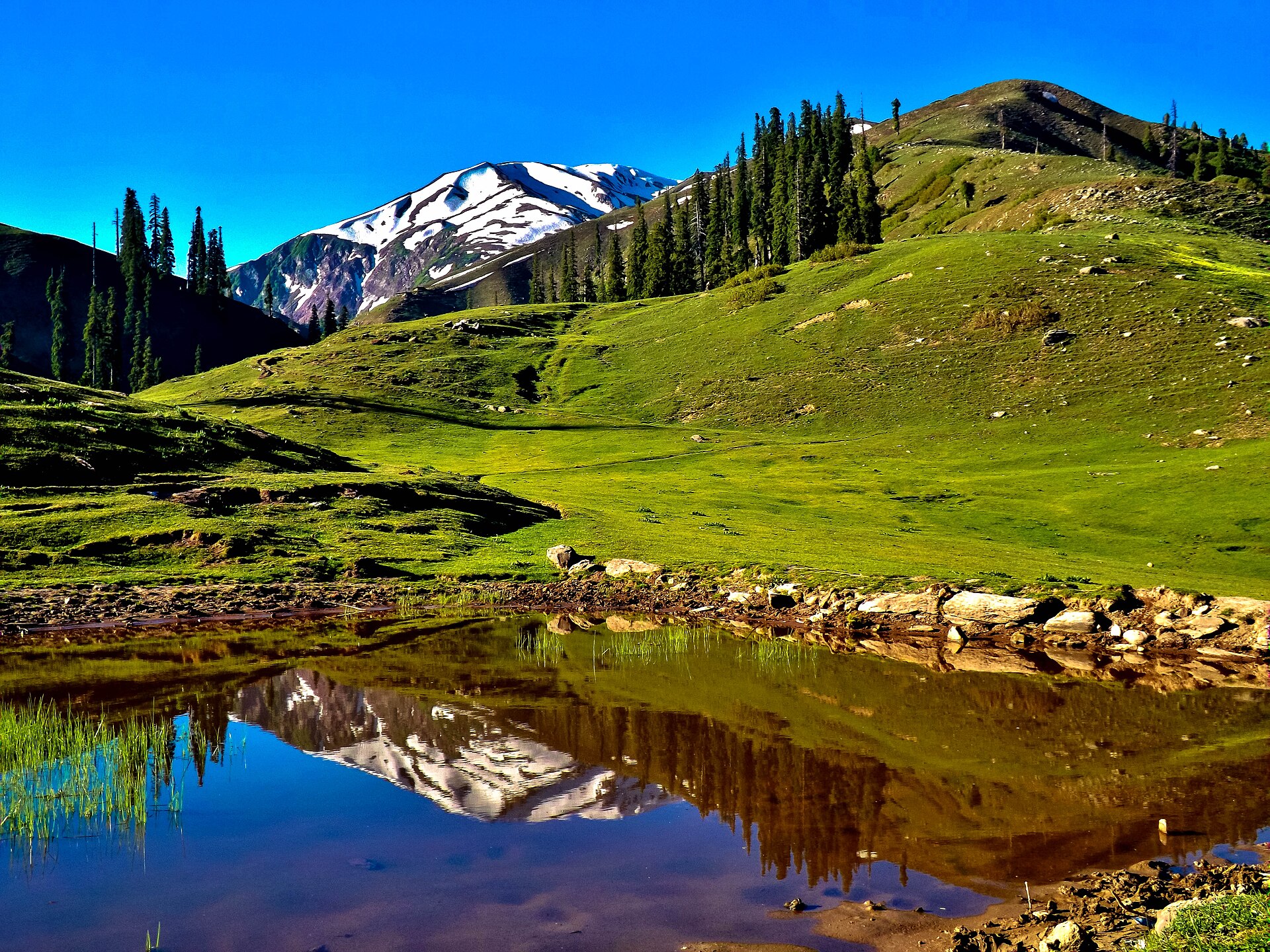 Shogran