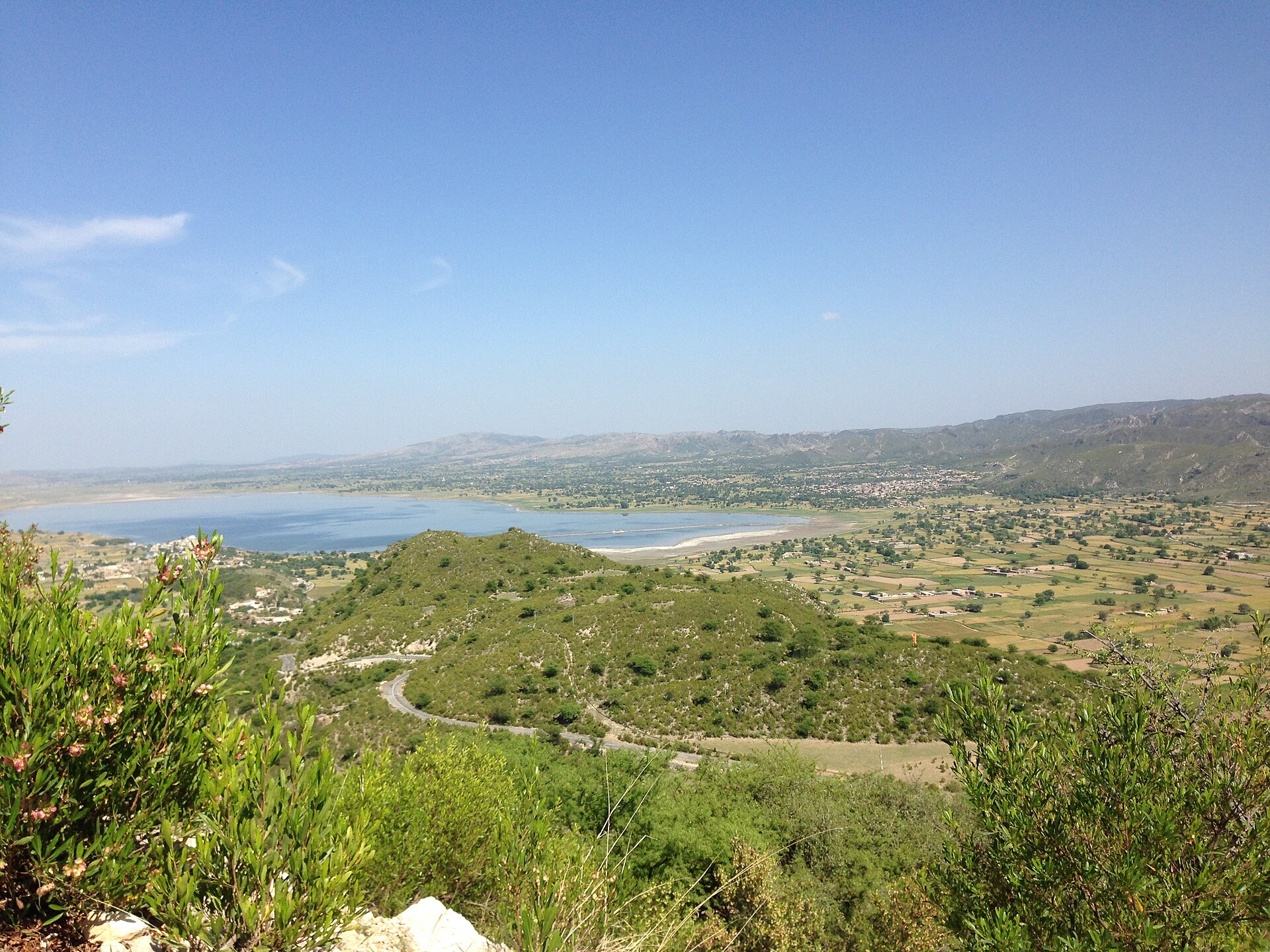 Sakesar