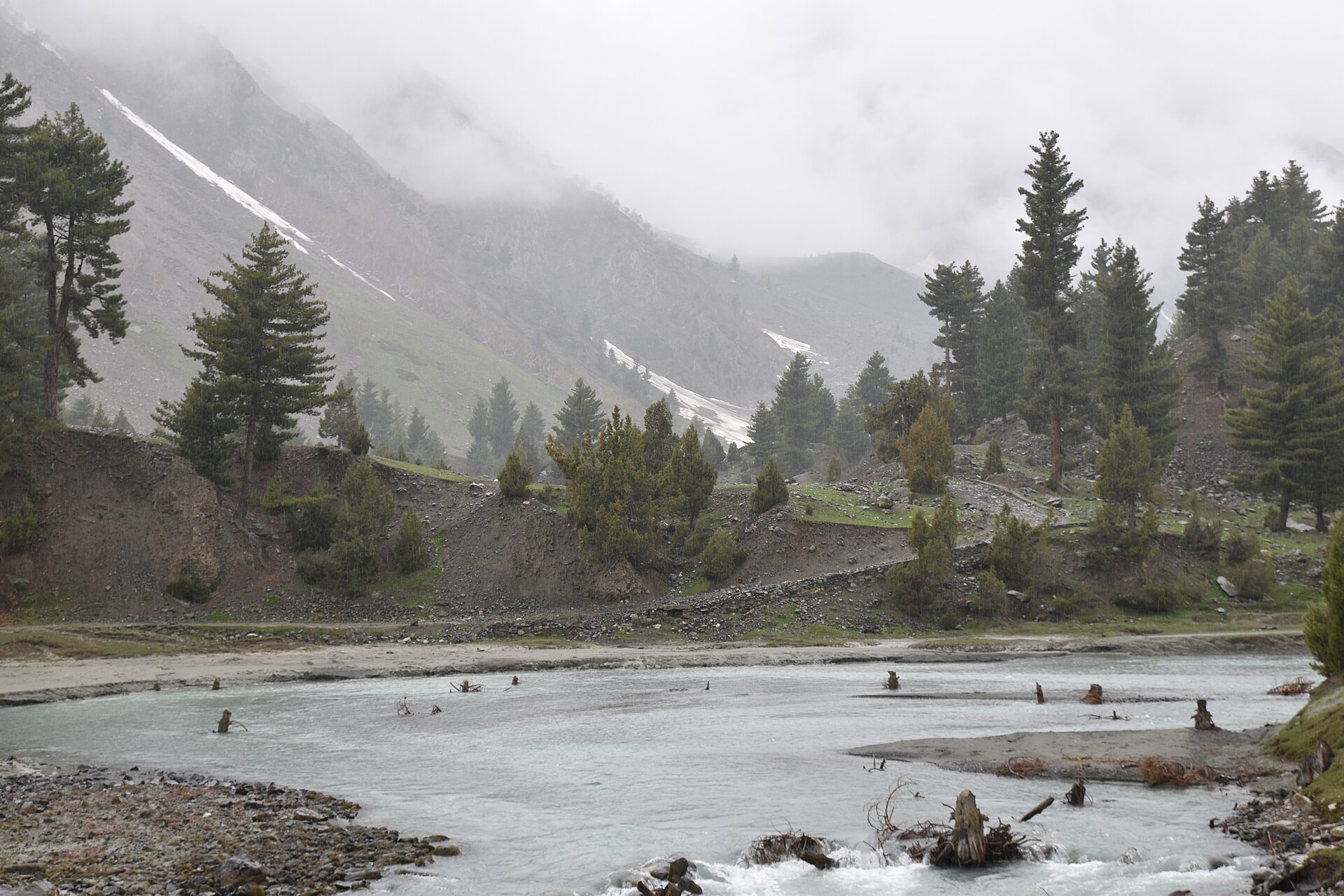 Alpine meadows