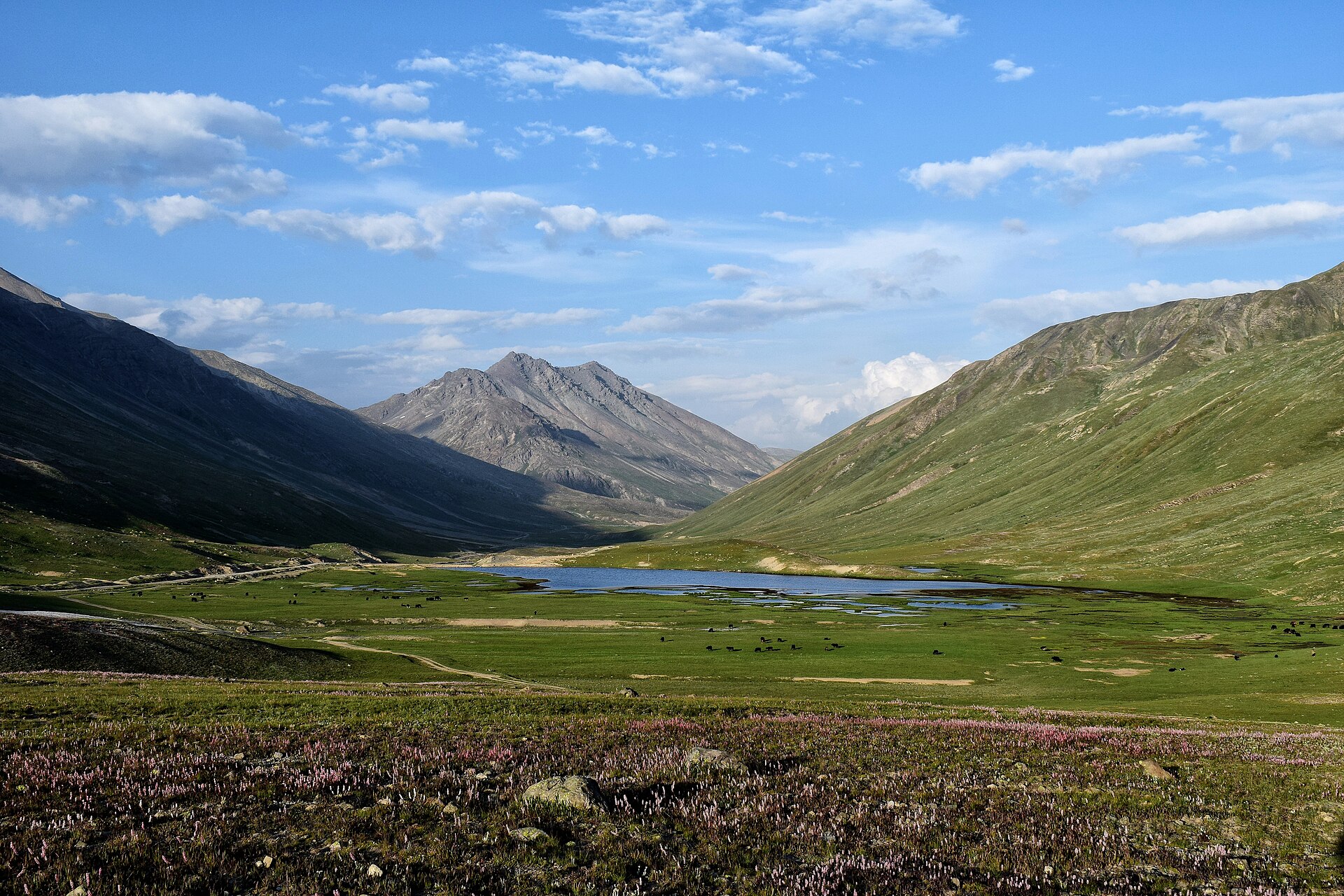 Burzil Pass