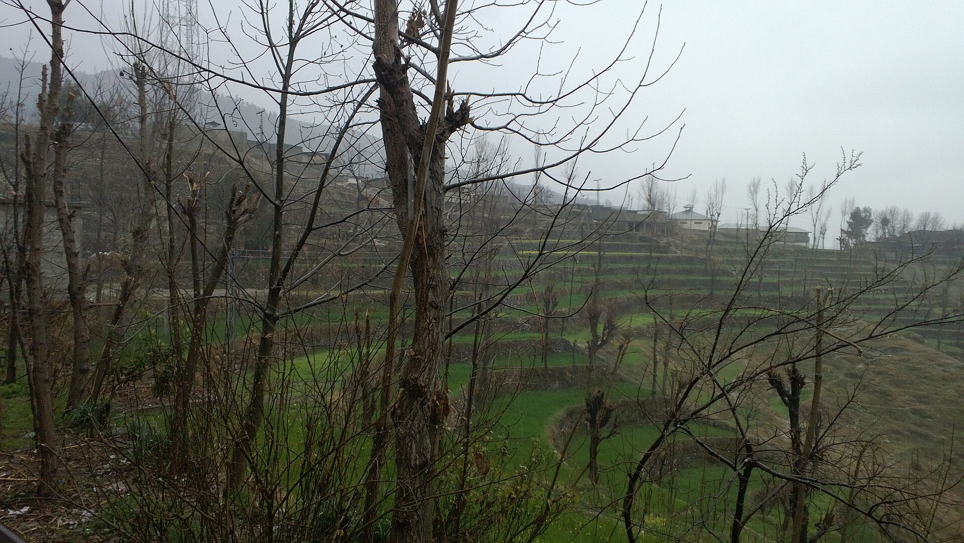 Dir villages