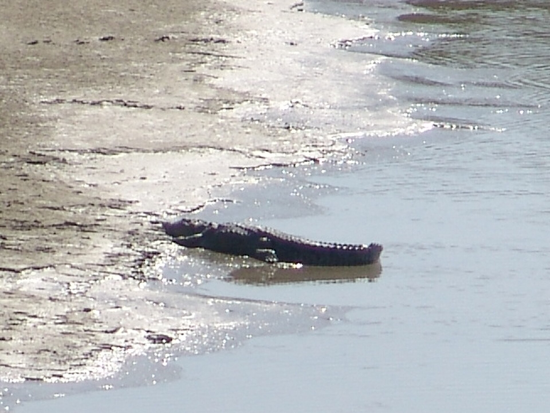 Hingol River