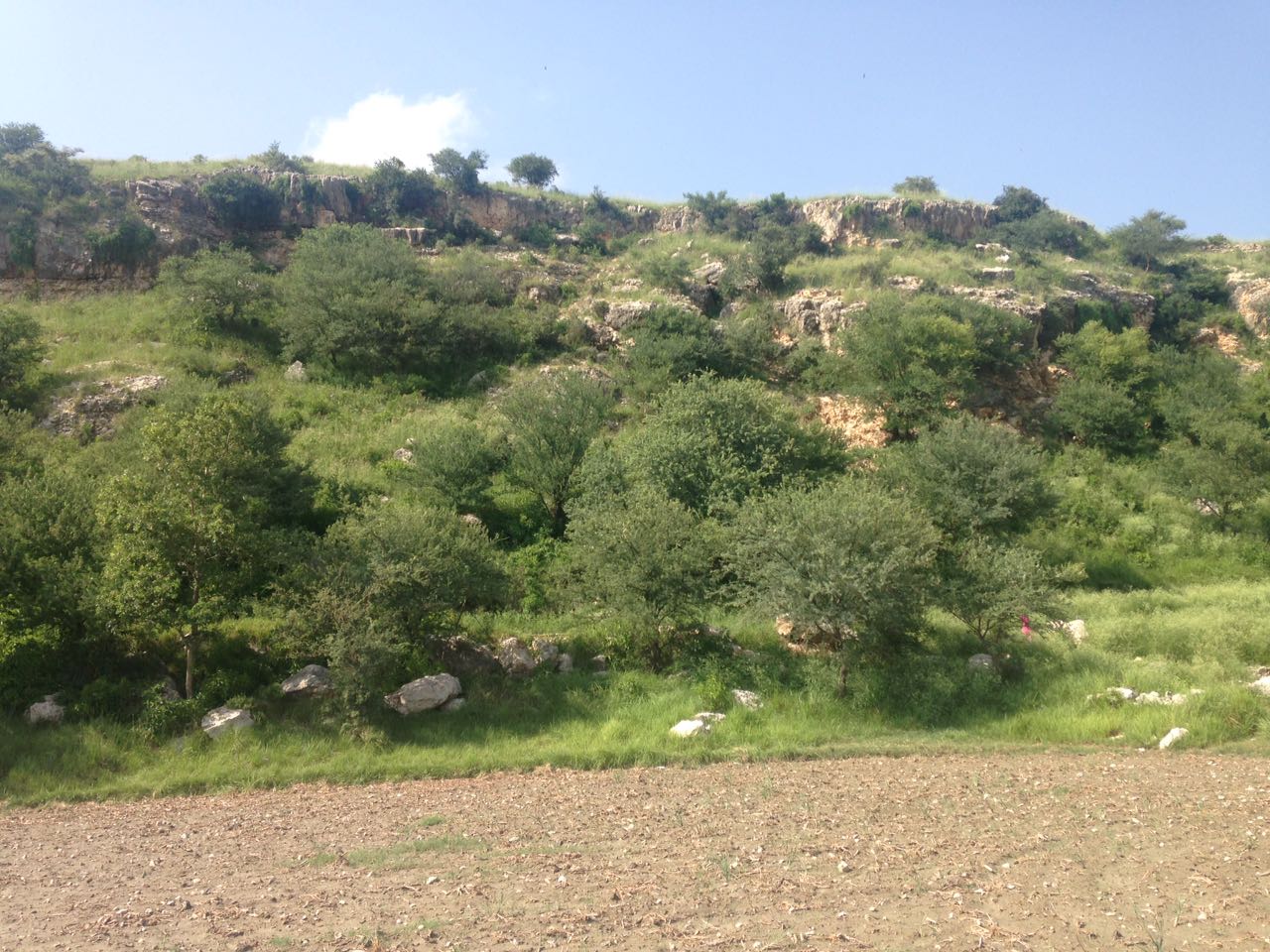 Kanhatti Garden