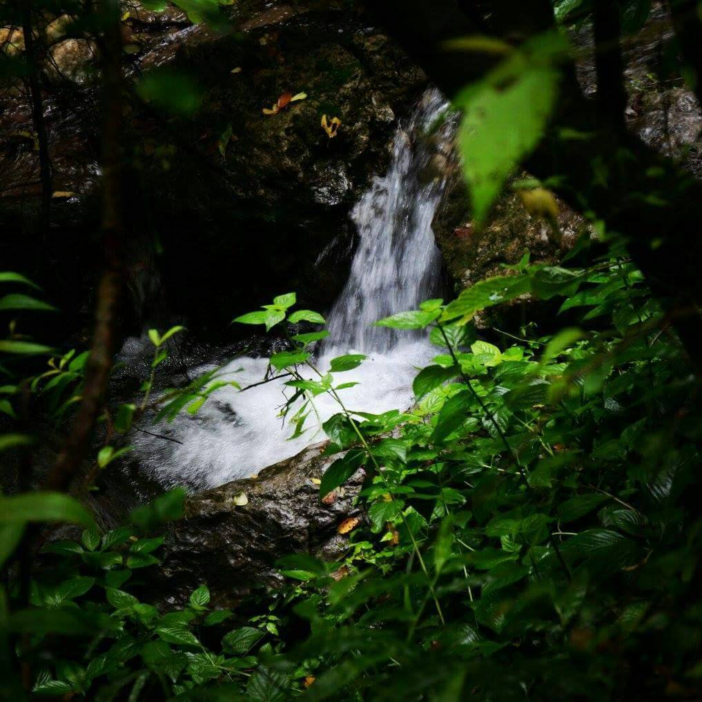 Margalla Hills Trail 5