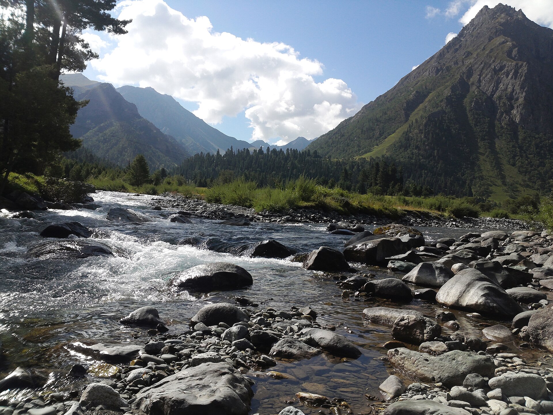 Minimarg meadows