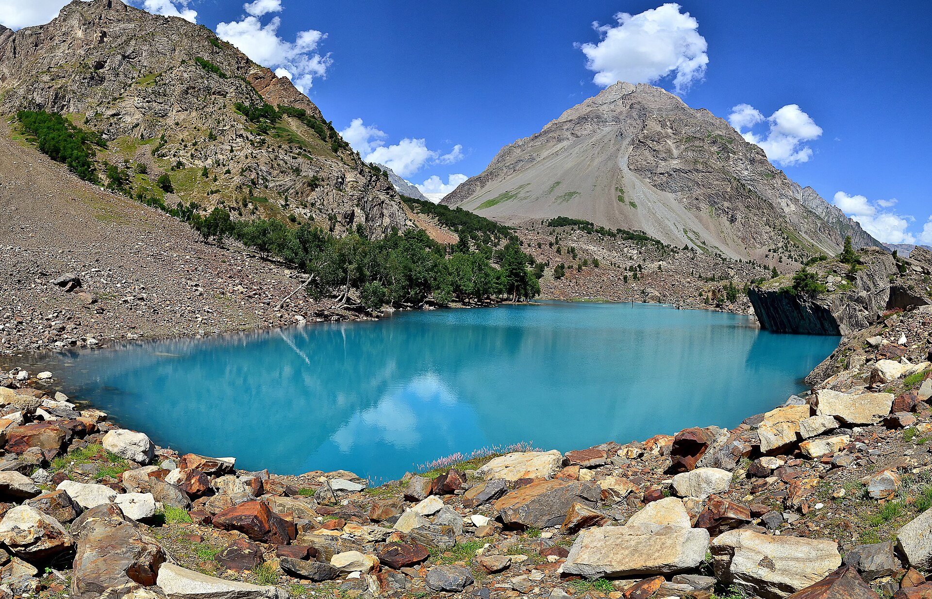 Naltar pine forest