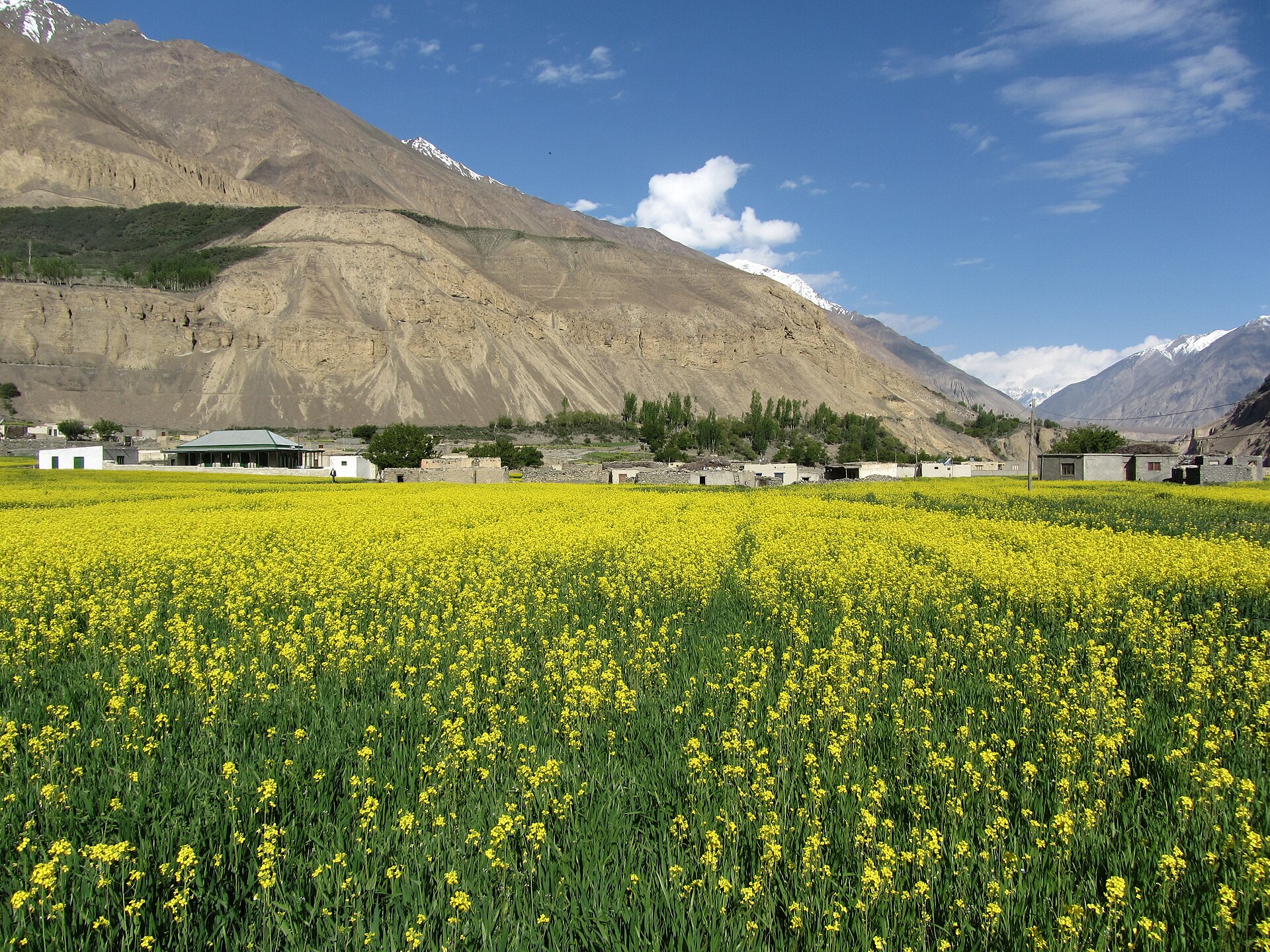 Shimshal Valley